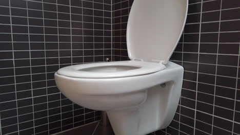 toilet bowl, lavatory in modern bathroom with black and grey tiles, 4k uhd, open lid, tilt up shot, black and white contrast