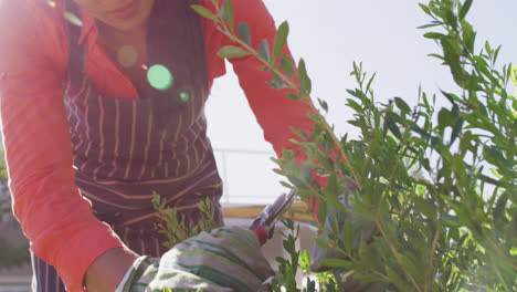 video de una mujer biracial cuidando de las plantas en el jardín