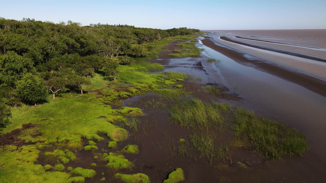 antena a lo largo de pantanos y bancos de arena por el río de la plata, movimiento hacia atrás