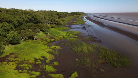 Aerial-along-swamp-and-sand-banks-by-Rio-de-la-Plata,-backward-motion