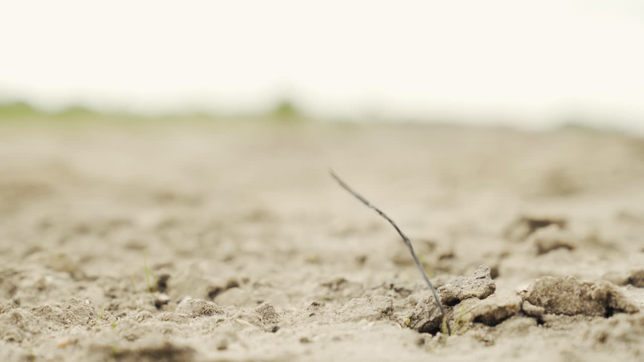 땅에 붙어있는 플라스틱 잔류물