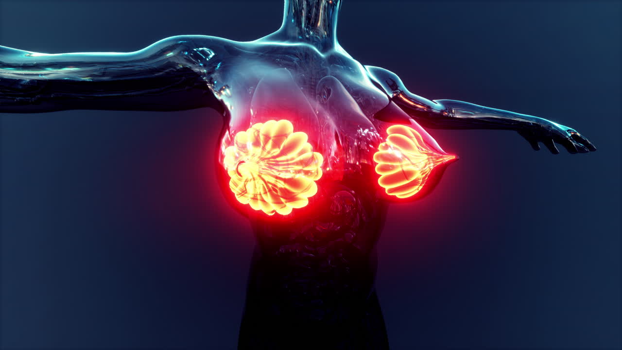 빛나는 유방선과 함께 인간 몸의 과학 해부학