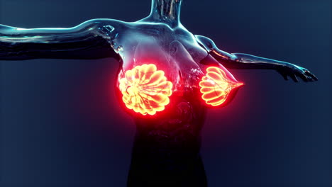 ciencia anatomía del cuerpo humano con brillo glándula mamaria
