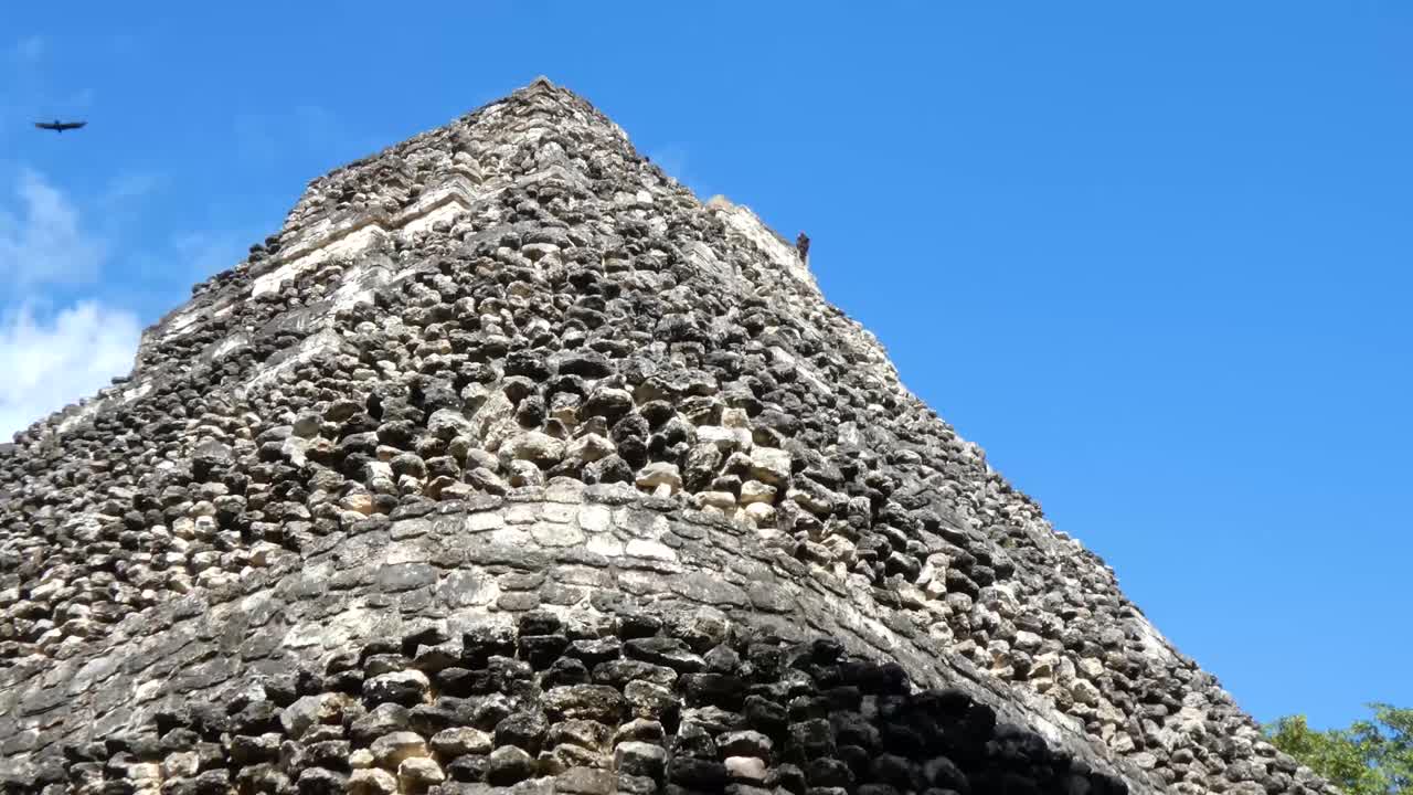 멕시코  ⁇ 타나 루 의 마야 고고학 유적지 인 차코벤 에 있는 신전 1 의 피라미드 꼭대기 에 서 있는 칠면조 독수리