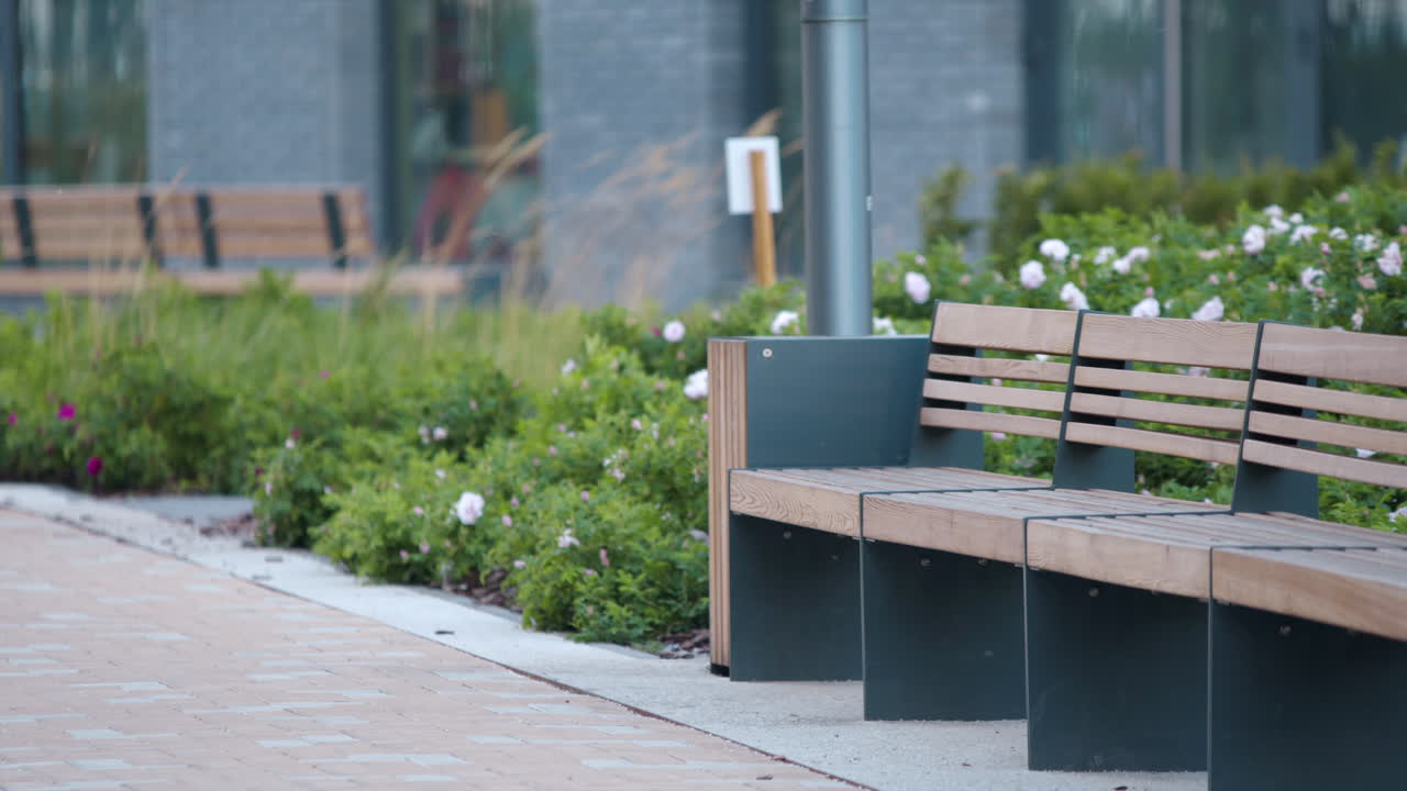 Modern Park Benches in Urban Setting