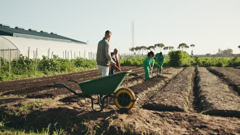 suelo de jardinería, carretilla