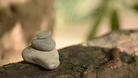 zen pebbles in garden with gentle breeze and sunlight