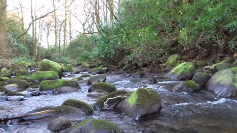 Beautiful-Lancashire-river-and-countryside-scenes