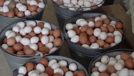 baskets of fresh eggs, ready for packaging at a local farm