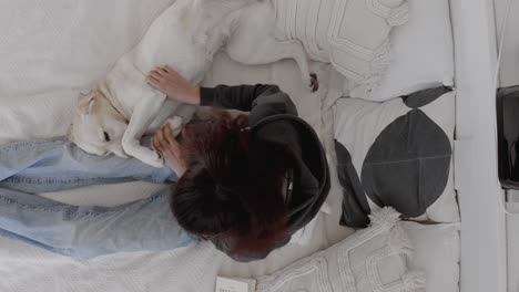 labrador retriever puppy enjoying belly rub. dog seeking attention. strong animal-human bond. affectionate moment between owner and pet. playful puppy at home. close-up of dog and owner interaction.