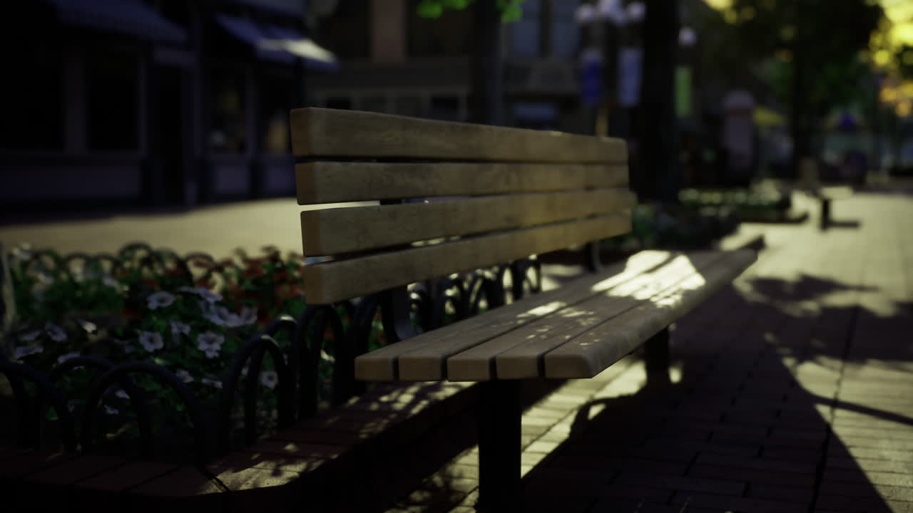 Golden light filters through trees at a tranquil urban park bench setting