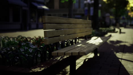 golden light filters through trees at a tranquil urban park bench setting