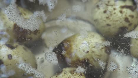 quail eggs cooking on a boiled water inside of an stainless steel pan.