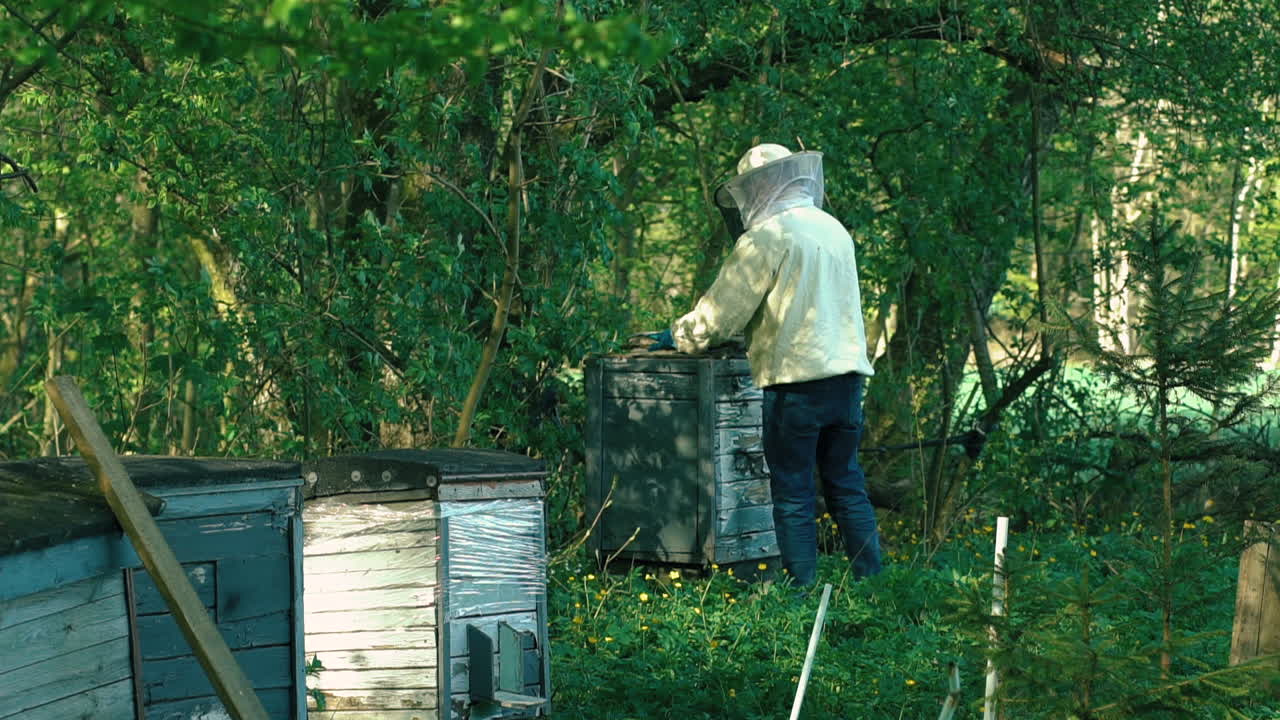 Beekeeper storing frames at apiary outdoors