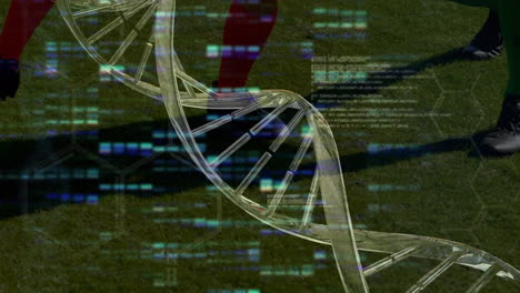 Animation of data processing and dna strand over diverse male soccer players playing at stadium