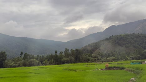 water in kashmir journey beautifully blends travel blur, 4k landscape videos, slow motion, time lapse of pahalgam, gulmarg, srinagar