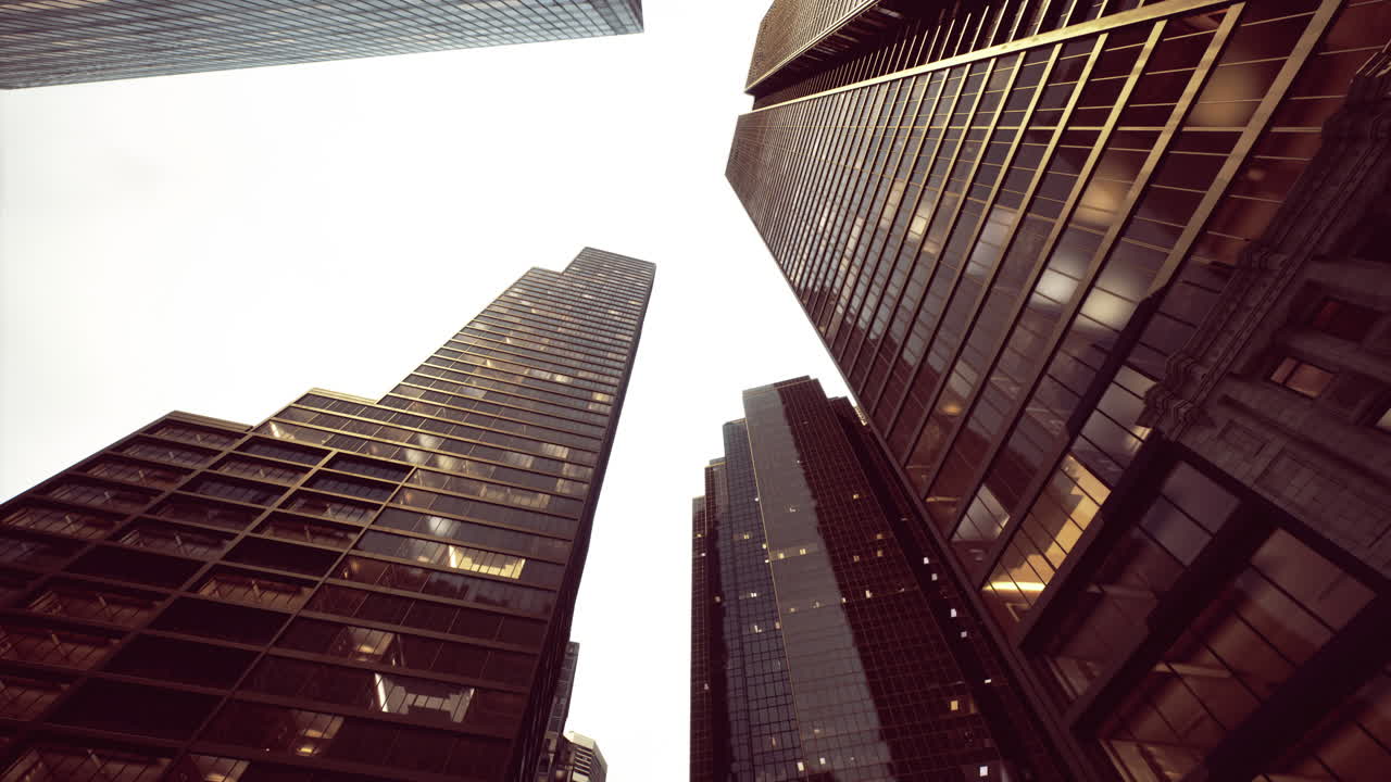 Exploring the urban jungle skyscrapers soaring towards the sky