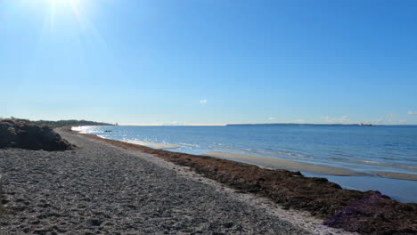 vista beach on a sunny day