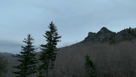 looking up at two peaks near grandfather mountain nc