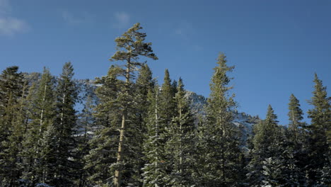 punto de vista del lado del pasajero mientras conduce a través del paisaje del lago tahoe en un bonito día de invierno