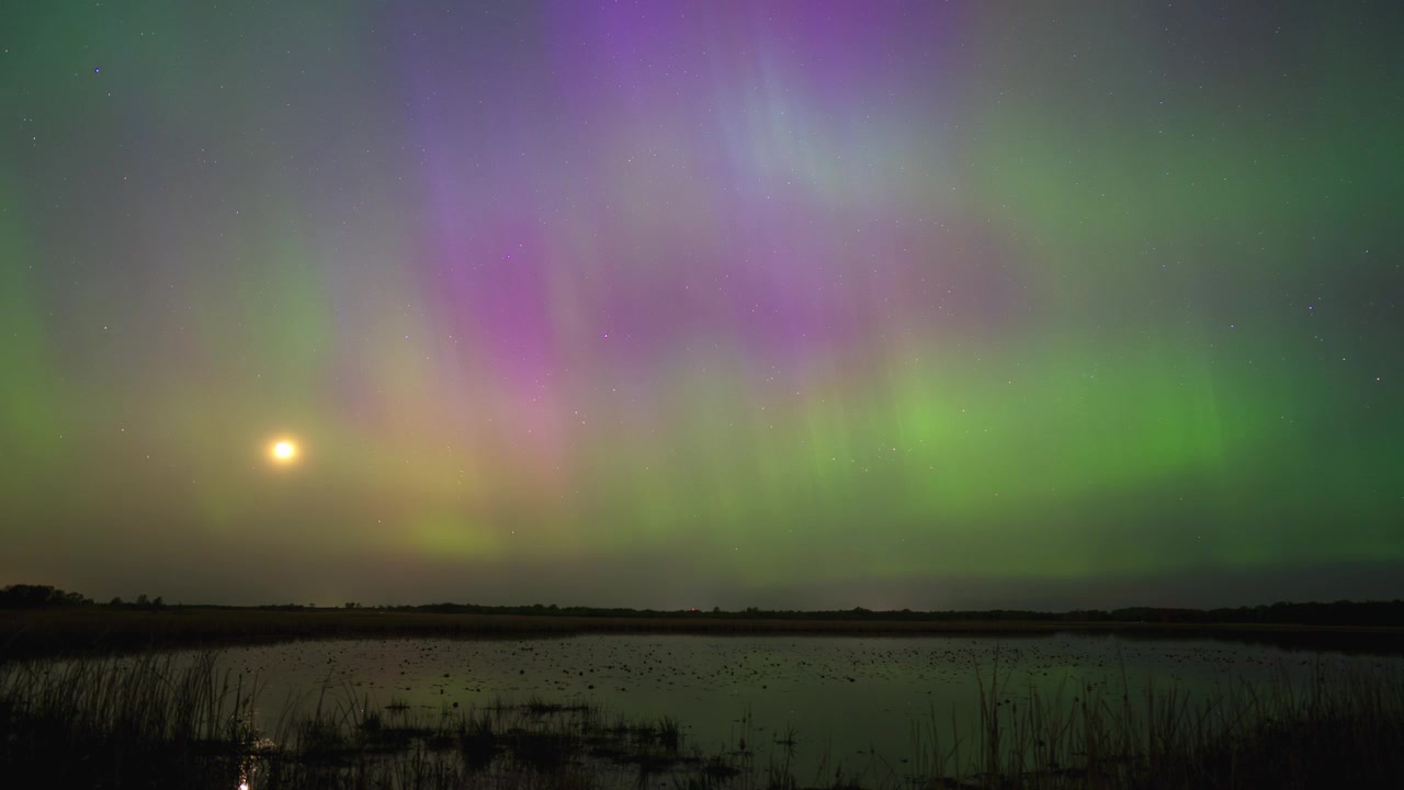 Klart nordlys i livlige grønne og lilla farger over et rolig tjern under en substorm i Minnesota, USA