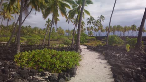 Gimbal-panning-shot-of-the-ancient-Hawaiian-royal-grounds-in-Pu'uhonua-O-Honaunau-National-Historical-Park-in-Hawai'i