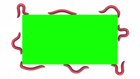 gusanos en el rectángulo verde, animación en 3d en bucle