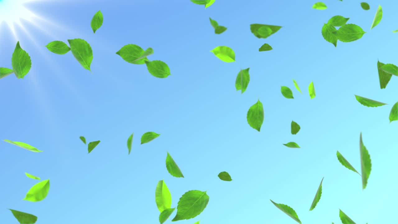 Clean soft nature loop background animation features flying green leaves blue sky sun rays weather