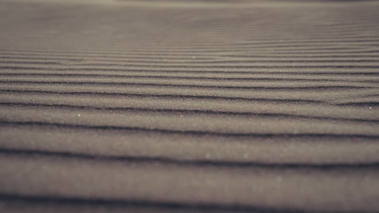 Close-up view of wind-patterned sand