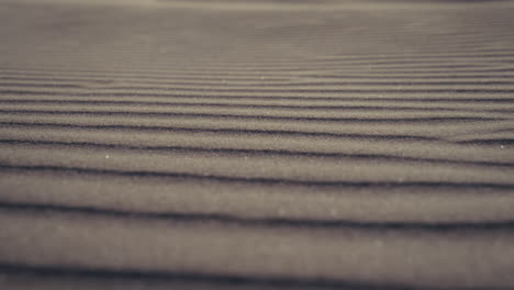 close-up view of wind-patterned sand