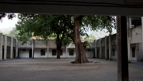 Edificio-Vacío-Aislado-Con-Un-Gran-árbol-En-El-Centro-Durante-El-Día-Desde-Un-ángulo-Plano