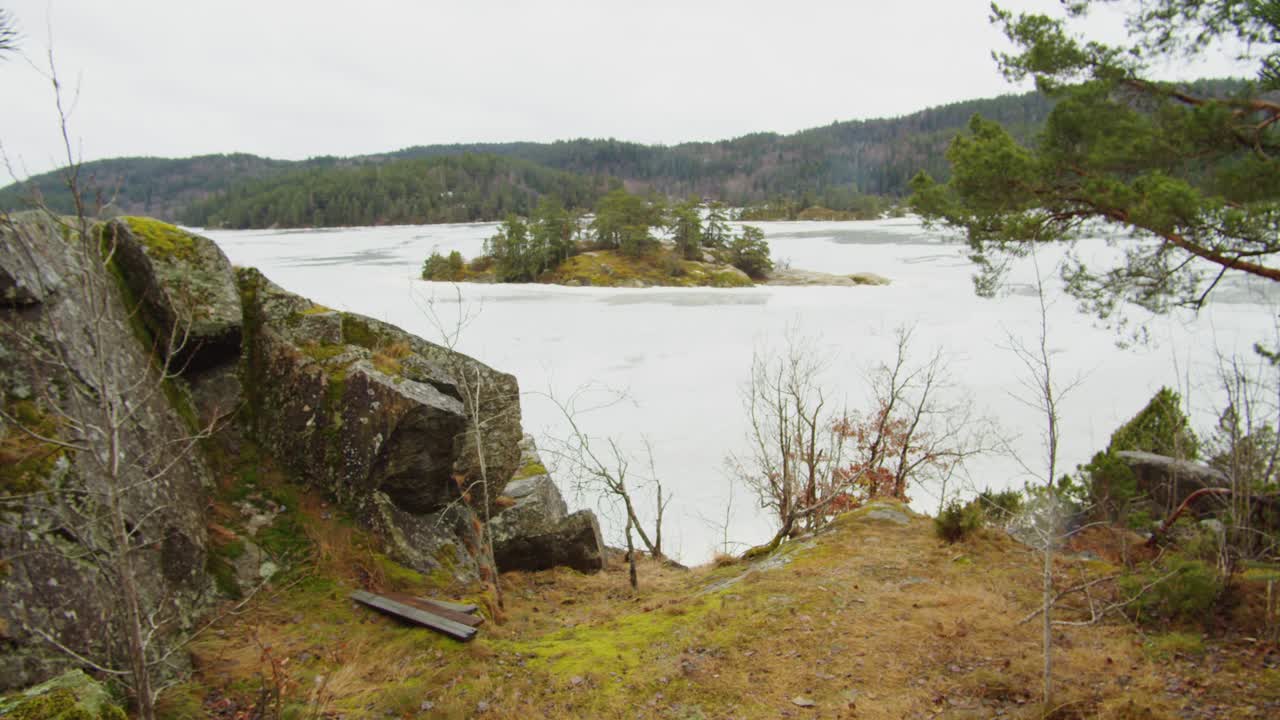 Handgehaltene Ich-Perspektive durch Büsche, Vollsfjorden Norwegen, Fjordlandschaft, natürliche Rahmung, Wildnis.