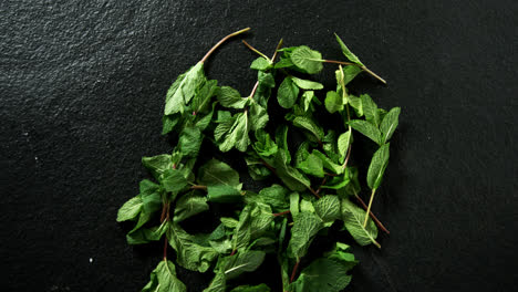 mint leaves on black background 4k