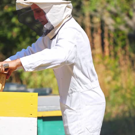 beekeeper is working with bees and beehives on the apiary. beekeeper on apiary