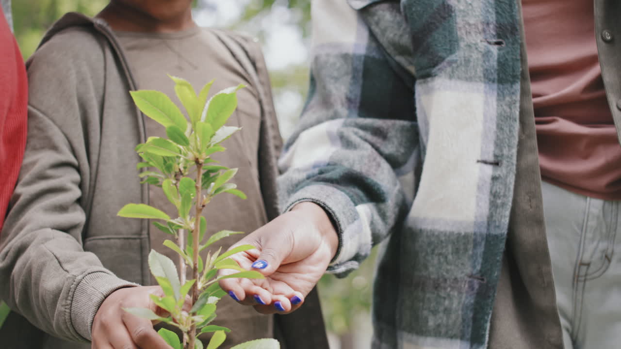 Happy Mother and Son Looking at Just Planted Tree