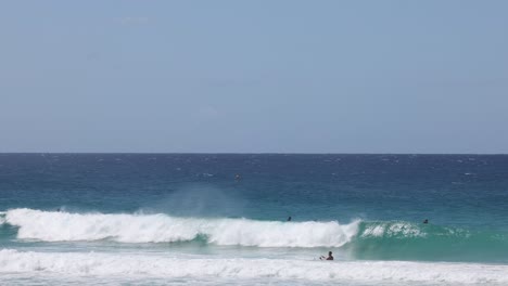 varios surfistas atrapan olas en un océano claro