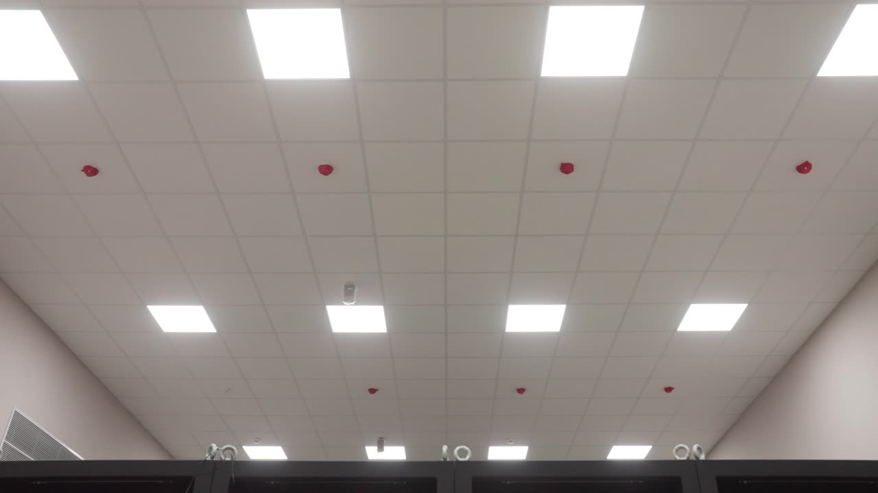 A low-angle view of a modern office ceiling, showing the integrated fire safety system with numerous red fire sprinklers and smoke detectors among the LED lights