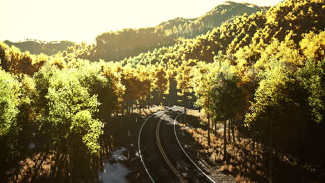 scenic autumn road through a colorful forest