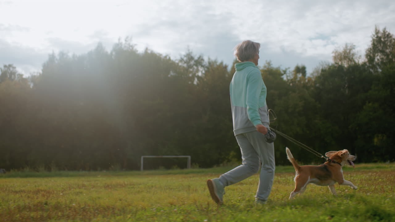 Instructor jogging around open grassy field with happy bull dog on leash under bright morning sun, enjoying fresh air and exercise together in natural park surrounded by lush green trees and blue sky