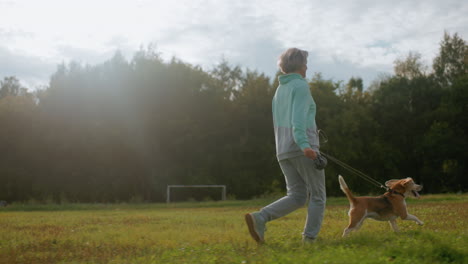 instructor jogging around open grassy field with happy bull dog on leash under bright morning sun, enjoying fresh air and exercise together in natural park surrounded by lush green trees and blue sky