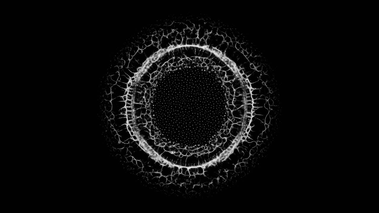 Mycelium Organic Ring Expanding - VFX