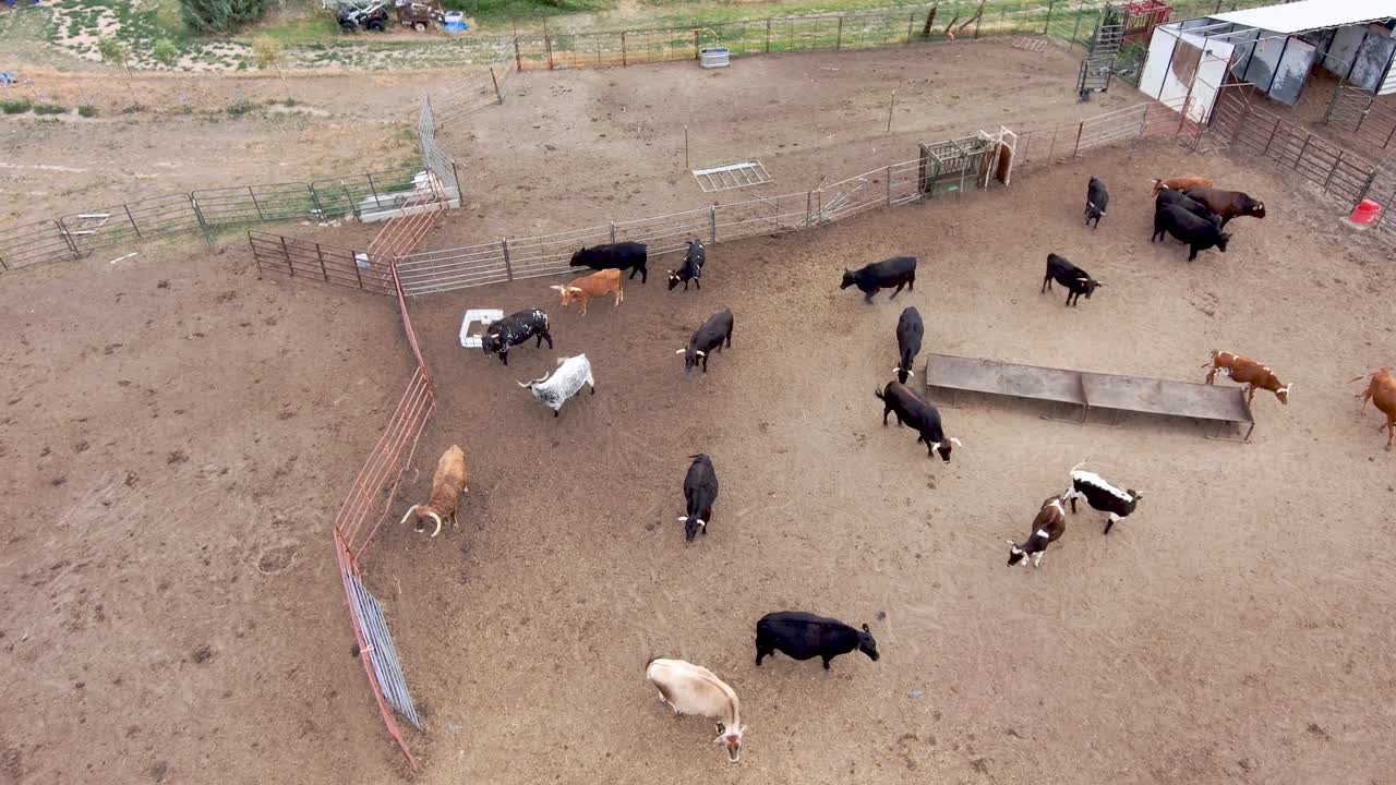 맷돌로 갈 때 뒤로 돌리는 황소와 조종