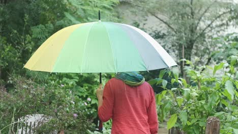 Pale-skinned-short-hair-caucasian-woman-in-red-with-scarf-wearing-a-mask-waling-in-garden-in-the-rain-with-a-rainbow-umbrella-slow-motion