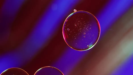 animation of bubbles moving on red and blue background with copy space