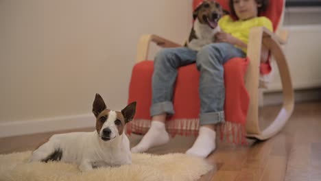 blond boy sitting on the chair with his dog and caresses him. your other dog is lying on the floor