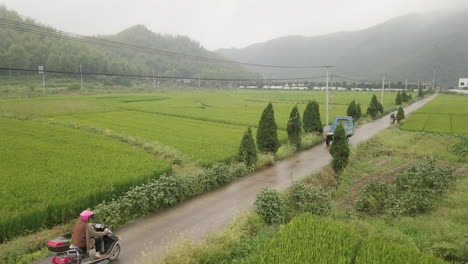 4k cycling through paddy fields in moganshan, zhejiang province, china