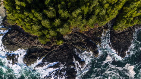 Drone-video-at-sunset-in-Ucluelet-British-Columbia,-Canada-over-the-ocean-and-forest