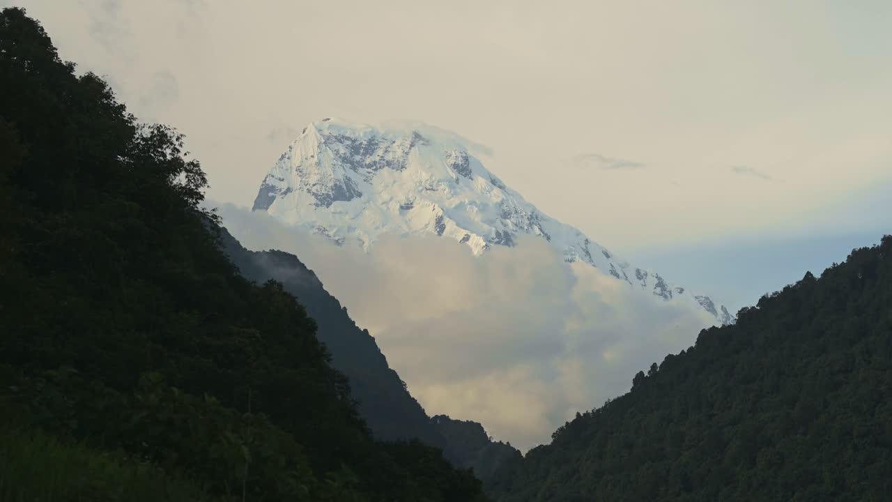 cumbre nevada nevada y bosque, gran cumbre masiva de annapurna sur que se eleva sobre un bosque de árboles en el himalaya montañas pies de colinas paisaje en nepal, hermoso atardecer paisaje del himalaya