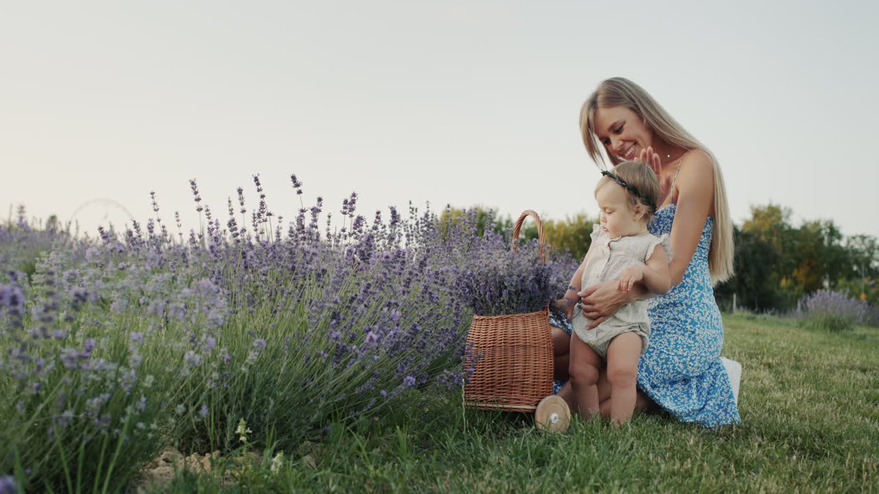 mamá con una hija pequeña cerca de una canasta con lavanda en un campo de lavanda. concepto de belleza y salud