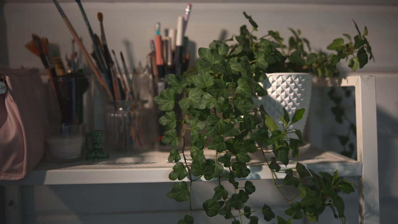 Primo piano di una pianta d'appartamento ricadente e frondosa che pende da una mensola bianca in un interno tranquillo, con un vaso testurizzato, decorazioni per la casa sfocate e una delicata luce naturale.